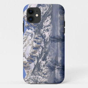 Etui iPhone Case-Mate PARC NATIONAL DU GRAND TETON, WYOMING. USA. Fog &