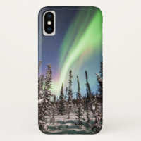Parc national du nord des lumières | Denali