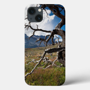 iPhone 13 Coque Parc national Torres del Paine, arbres endommagés