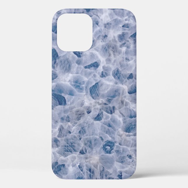 Coques Case-Mate iPhone Parcelle web Spider (Verso)