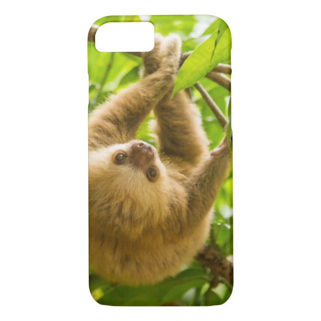 Coques Case-Mate iPhone Paresse à l'envers des images | de Getty (Dos)
