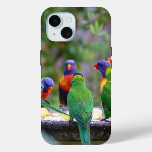 Coque Pour iPhone 15 Parrots colorés Arc-en-ciel Lorikeet Manger