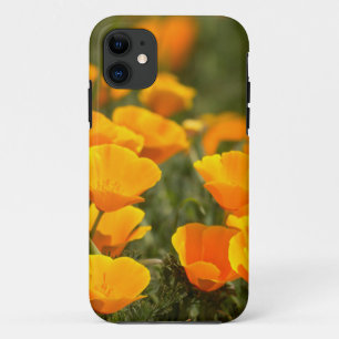 Etui iPhone Case-Mate Pavot de Californie, Parc d'état du Montana de Oro