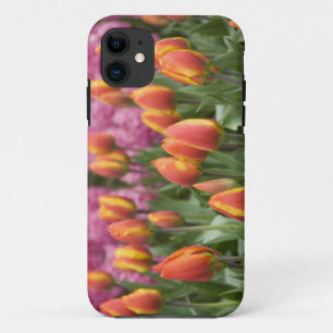 Coque Case-Mate Pour iPhone Pays-Bas (aussi appelé Hollande), Lisse. Keukenhof