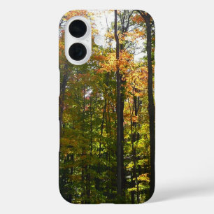 Coque Pour iPhone 16 Paysage d'automne de forêt ensoleillée