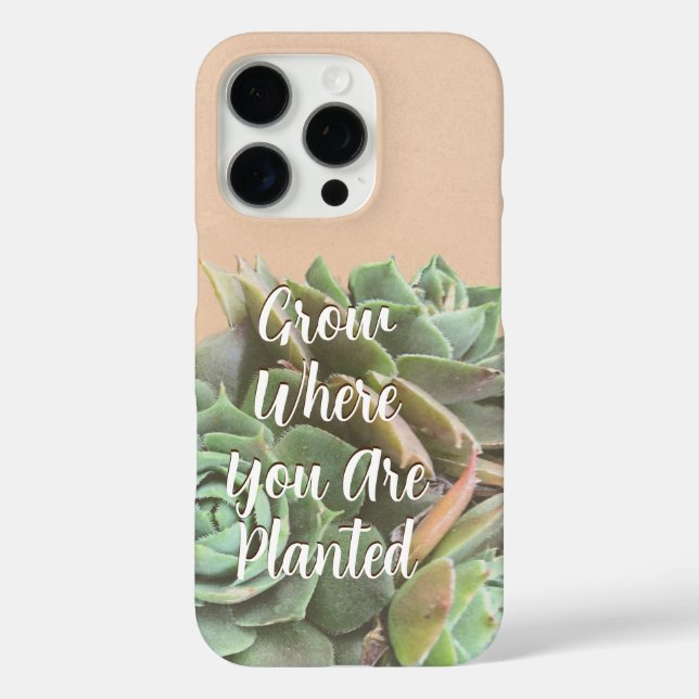 Coques Case-Mate iPhone Peach Blush Succulent Choisissez votre couleur (Verso)