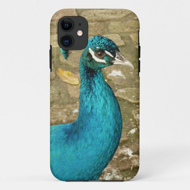Coques Case-Mate iPhone Peacock Belle photographie nature (Dos)