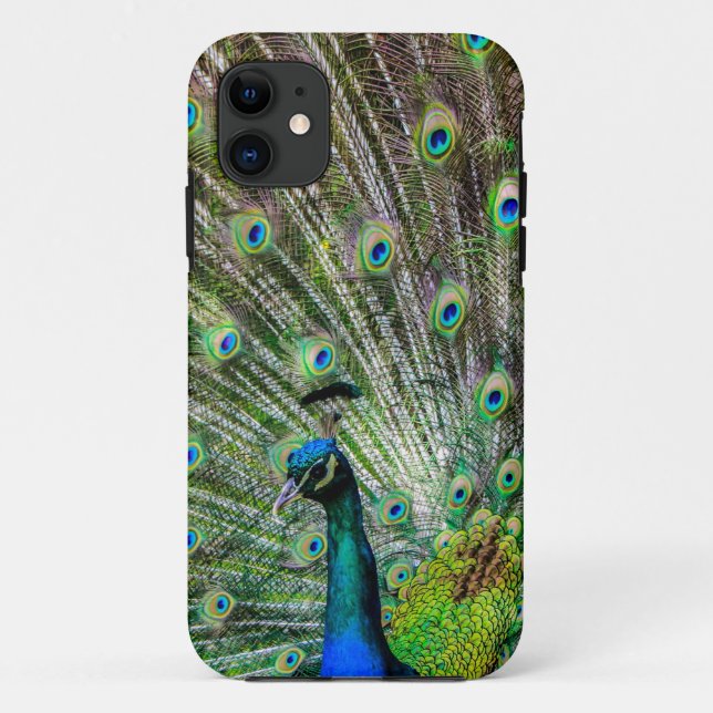 Coques Case-Mate iPhone Peacock étonnant et plumes accessoires photo (Dos)