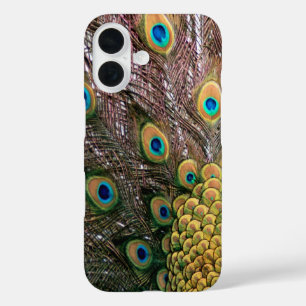 Coque Pour iPhone 16 Peacock Feathers Emerald Green et Gold