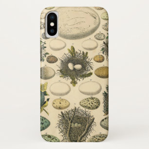 Case-Mate iPhone Case Peinture artistique de nid d'oeuf d'oiseau vintage