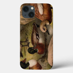 Etui iPhone 13 Peinture vintage colorée de canards