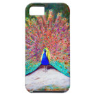 Peinture vintage de paon