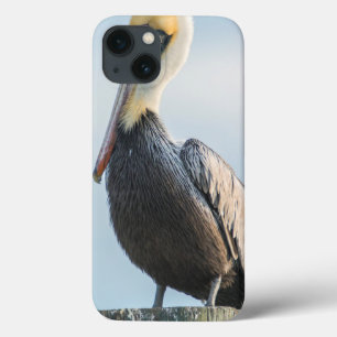 Etui iPhone 13 Pélican perché sur pylône