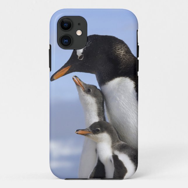 Coques Case-Mate iPhone Péninsule Antarctique, Neko Harbour, Gentoo (Dos)