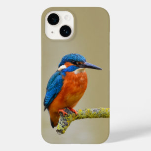 Coque Pour iPhone 14 Perching Kingfisher