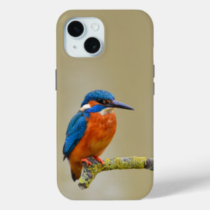 Coque Pour iPhone 15 Perching Kingfisher