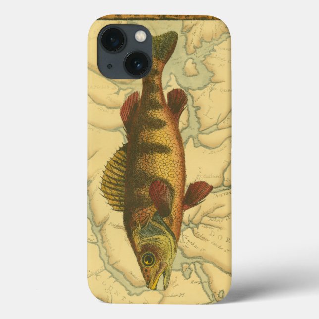 Coques Case-Mate iPhone Perle jaune sur la carte (Verso)