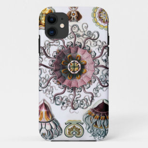 Coque iPhone 11 Peromedusae d'Ernst Haeckel