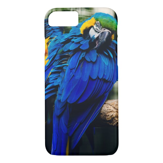 Coques Case-Mate iPhone Perroquet bleu d'ara, oiseau tropical exotique (Dos)
