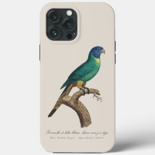 Case-Mate iPhone Case Perruche a tete bleue / Rainbow lorikeet, juvénile