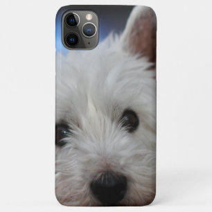 Case-Mate iPhone Case Pestie ultra mite Westie White Terrier