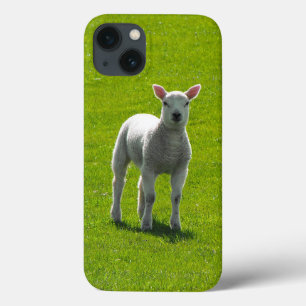 Case-Mate iPhone Case Petit agneau blanc sur verre vert