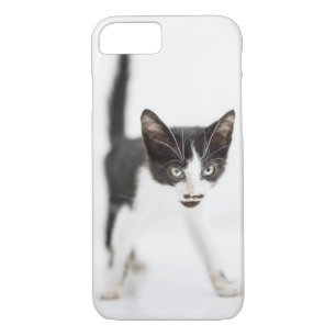 Coque iPhone 7 Petit chat