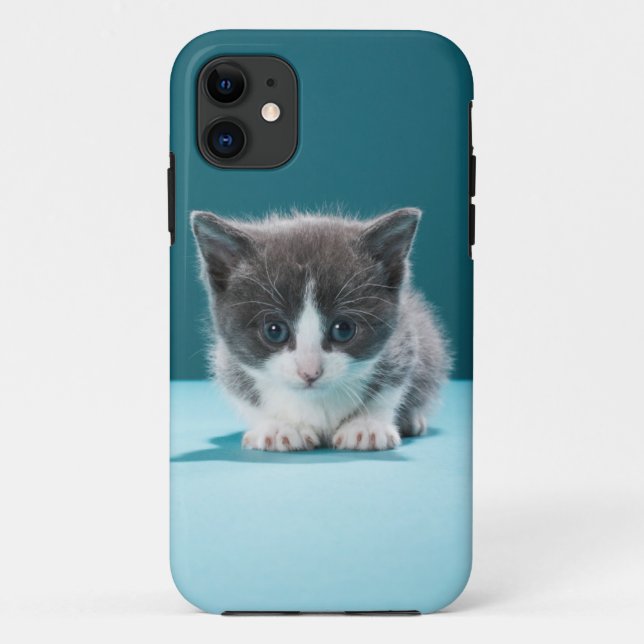 Coques Case-Mate iPhone Petit chaton (Dos)