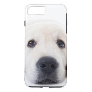 Case-Mate iPhone Case Petit chiot mignon, repaire d'or