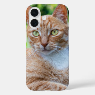 Coque Pour iPhone 16 Petit chou doux