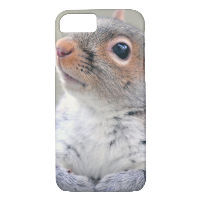 Coques Case-Mate iPhone Petit écureuil gris doux et souple (Dos)