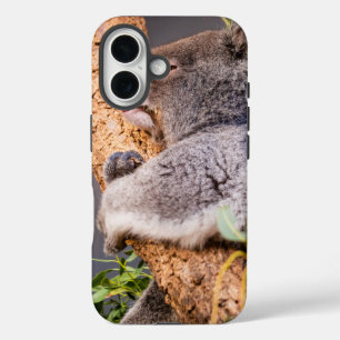 Coque Pour iPhone 16 Petit koala doux