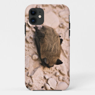 Coque iPhone 11 Peu batte Brown