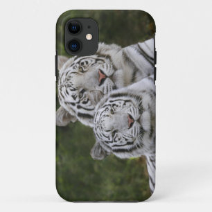 Coque iPhone 11 Phase blanche, Tigre du Bengale, Tigris