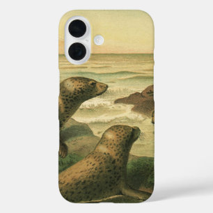 Coque Pour iPhone 16 Phoques léopards, Animaux aquatiques Vintages Vie 