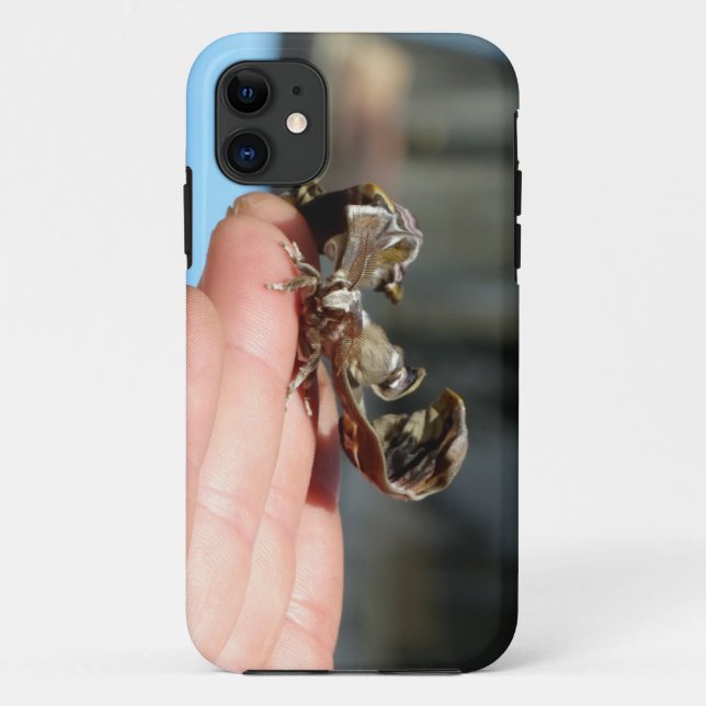 Coques Case-Mate iPhone Photo Cocoon Papillon iPhone SE + iPhone 5/5S (Dos)
