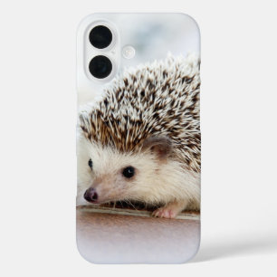 Coque Pour iPhone 16 Photo de bébé hérisson mignon