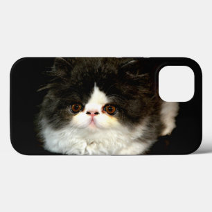 Case-Mate iPhone Case Photo de chaton noir et blanc mignon
