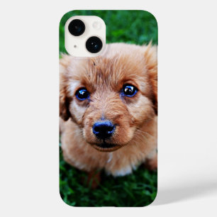 Coque Pour iPhone 14 Photo de chiot adorable mignon