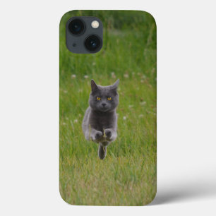 iPhone 13 Coque Photo de Cute Grey Farm Cat Racing Across Green Gr