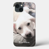 Photo de Cute White Labrador Retriever Mix Dog