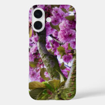 Photo de la Couronne de l'arbre en fleurs roses d'