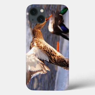 Case-Mate iPhone Case Photo de la faune de Mallard Duck pour les amateur
