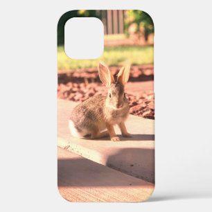 Case-Mate iPhone Case photo de lapin de Pâques printemps