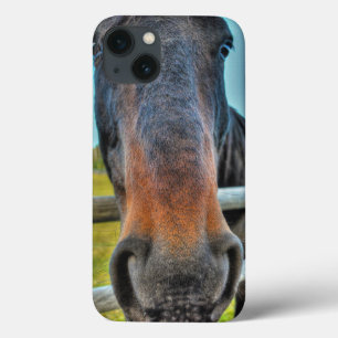 Etui iPhone Case-Mate Photo de museau de Cheval Percheron de Thoroughbre