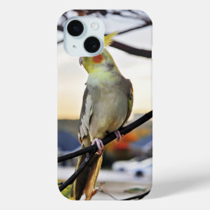 Coque Pour iPhone 15 Photo de profil Cockatiel