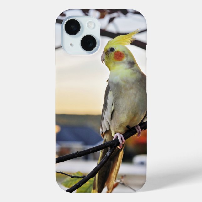 Coques Case-Mate iPhone Photo de profil Cockatiel (Verso)