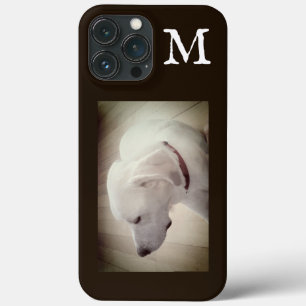 Case-Mate iPhone Case Photo de profil de chien fier Chocolat noir Brown