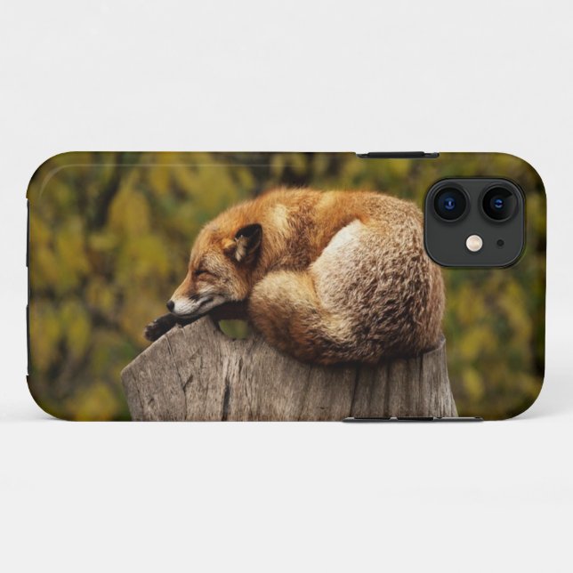 Coques Case-Mate iPhone Photo de renard dormant (Dos (Horizontal))