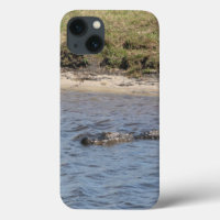 Photo d'un alligator nageant dans l'eau, nature, f